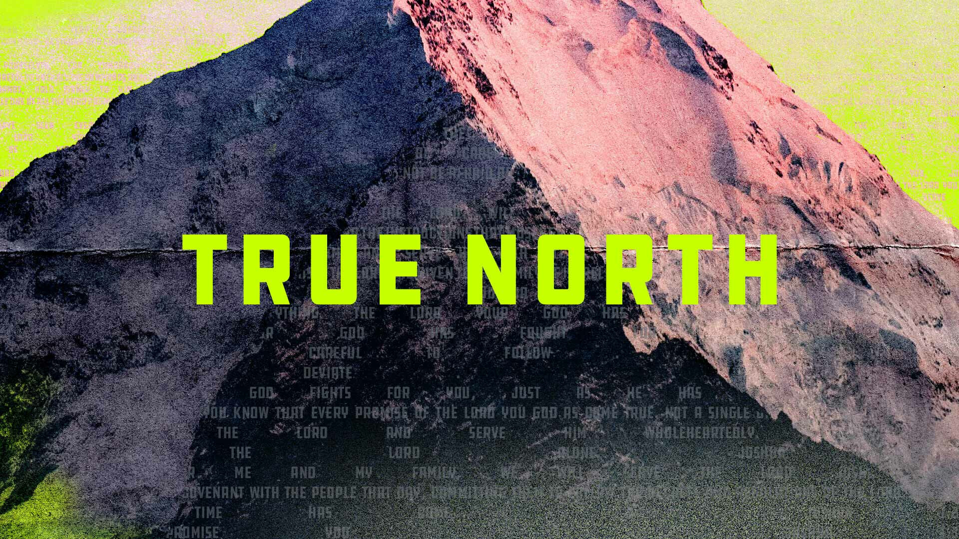 True North